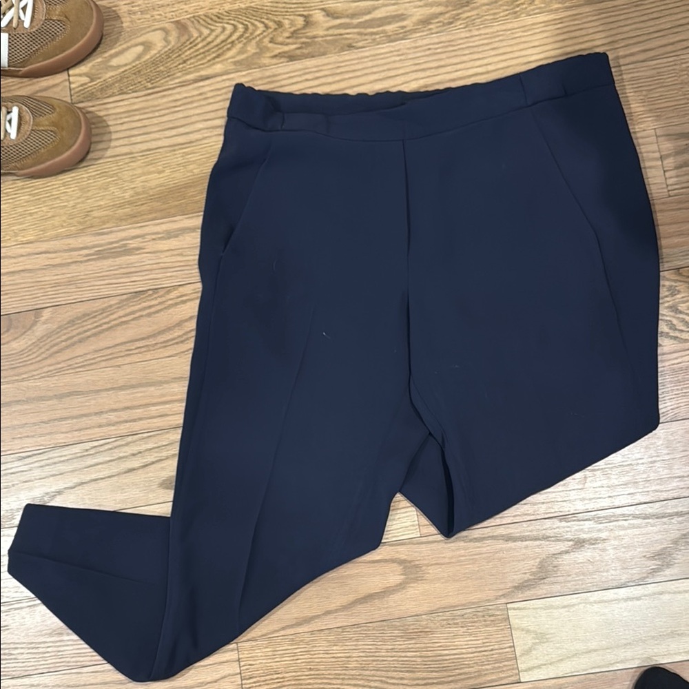 JCrew Navy Pants